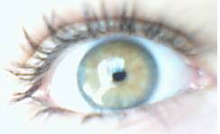 c mon oeil 5/5 tbarkellah
